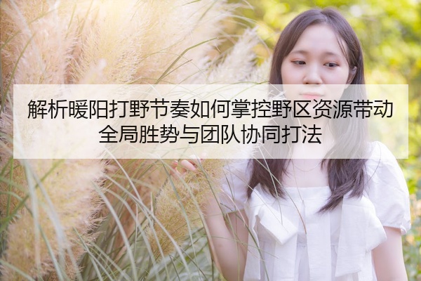 解析暖阳打野节奏如何掌控野区资源带动全局胜势与团队协同打法